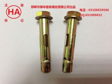Hex bolt anchor Hex bolt anchor