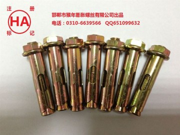 Hex bolt anchor Hex bolt anchor