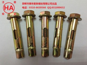 Hex bolt anchor Hex bolt anchor